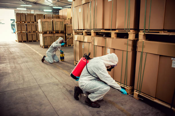 Best Ant Control Services  in Audubon, IA