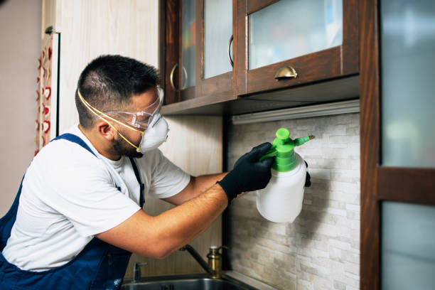 Best Local Pest Control Services  in Audubon, IA