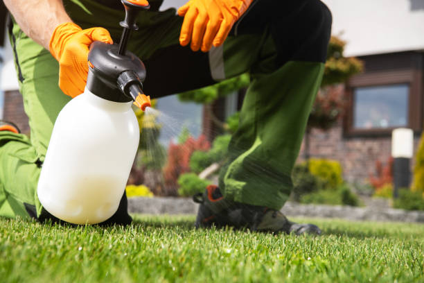 Best Pest Removal Services  in Audubon, IA