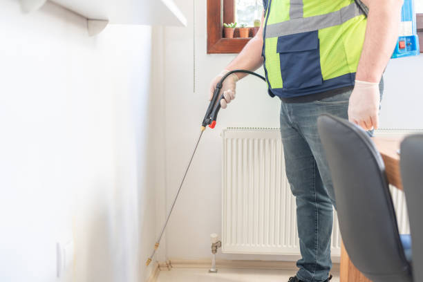 Best Wasp Removal Services  in Audubon, IA