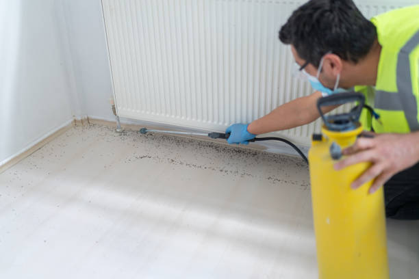 Trusted Audubon, IA Pest Control Experts