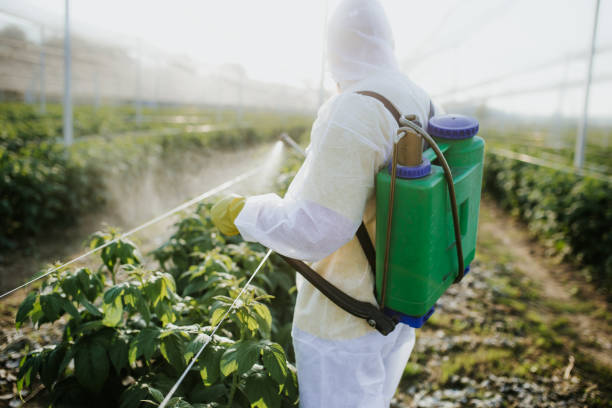 Best Pest Control Near Me  in Audubon, IA